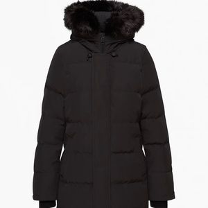 Aritzia Tna Powder Parka (Medium)